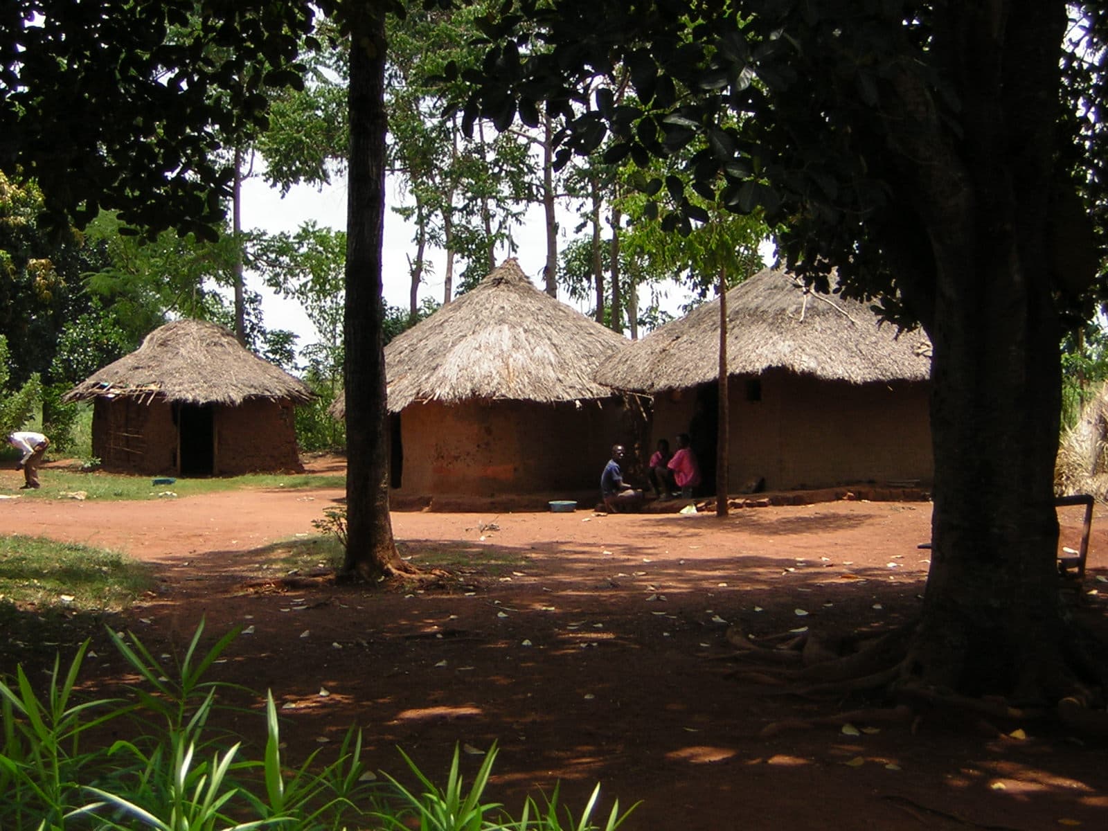 A homestead and farmland in Yogo, Kenya